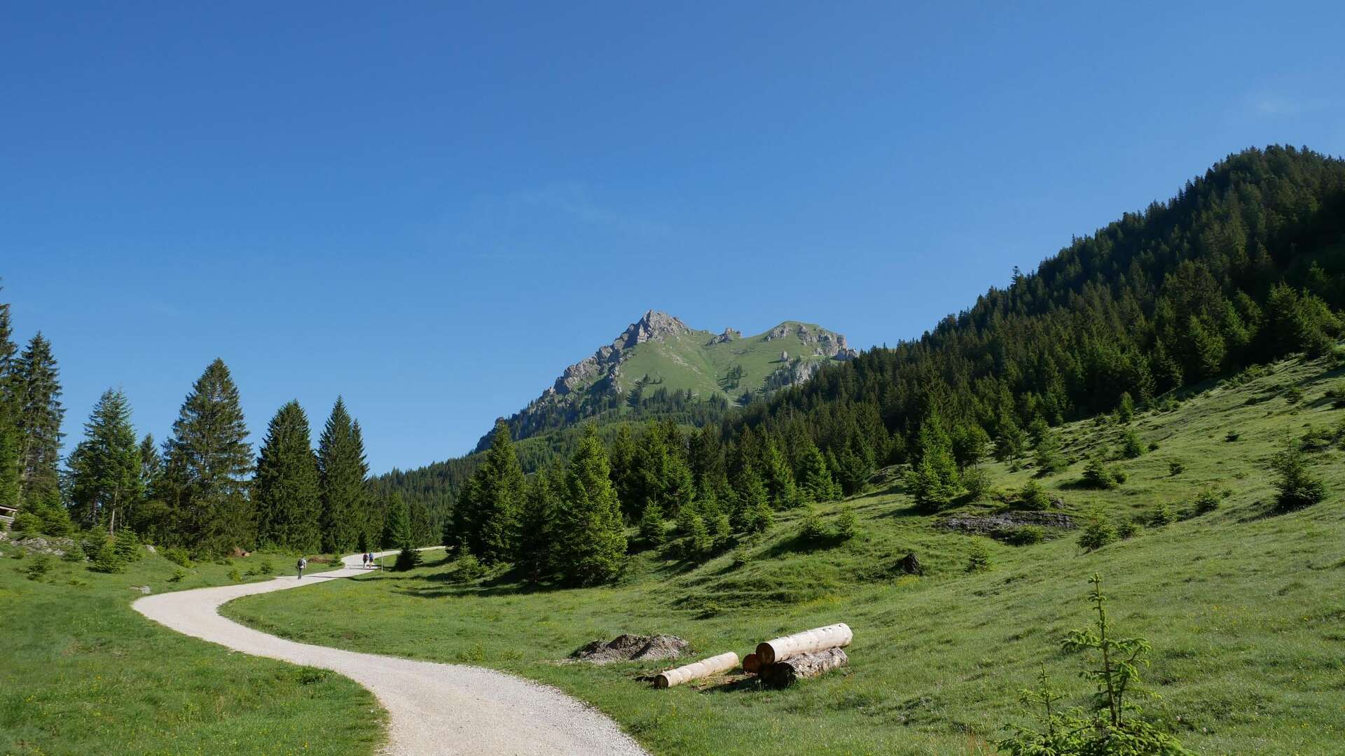Aggenstein